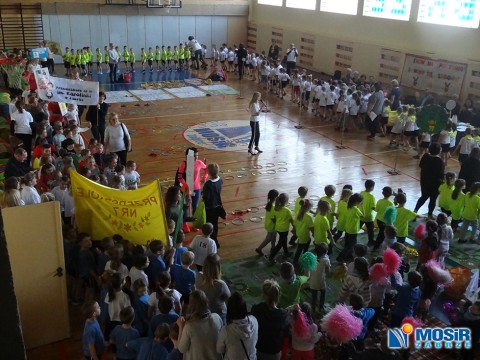 XVI Międzyprzedszkolny Turniej Sportowy ,,Show na sportowo - bawimy się zdrowo" FOTOGALERIA