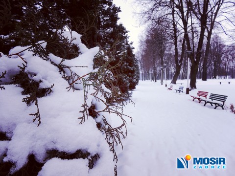 Ferie na Leśnym