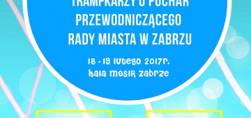 XXI Międzynarodowy Halowy Turniej Piłki Nożnej Trampkarzy w Puchar Przewodniczącego Rady Miasta Zabrze