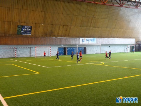 Turniej z okazji Święta Konstytucji 3-go Maja i wręczenie Odznaczeń Państwowych Pracownikom MOSiR Zabrze 