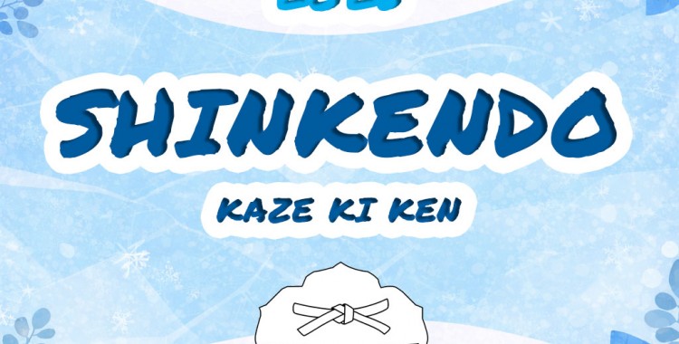 Shinkendo - Ferie z MOSiR Zabrze