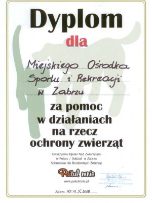 Dyplom ochrona zwierząt